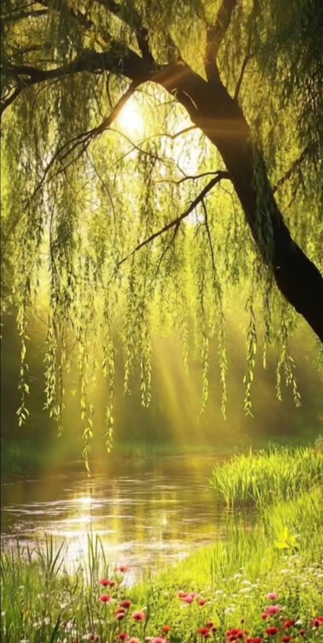 Spiritueller Hintergrund